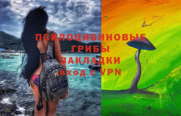 МДПВ Абаза