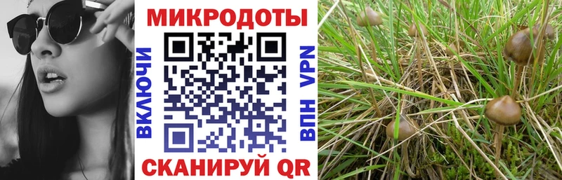KRAKEN вход  Норильск  Галлюциногенные грибы мухоморы 